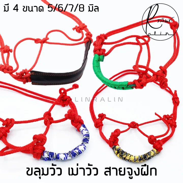 ขลุมวัวเชือกถักและหนัง 4 ขนาด ทนทาน