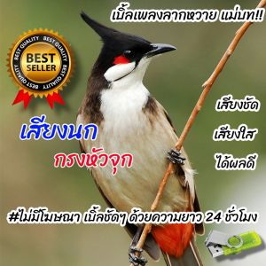 เสียงนกกรงหัวจุกเบิ้ลเพลงลากหวาย แม่บท เสียงฝึกนก USBแฟลชไดร์ฟเสียงฝึกนก เสียงดี ชัด100% ไม่มีโฆษณาแทรก (MP3 เสียงสัตว์)