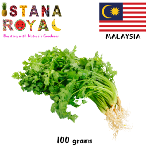 FRESH & FRAGRANT CORIANDER IMPORTED FROM MALAYSIA - 100G - ISTANA ROYAL FRUITS