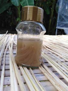 ยางกล้วย น้ำยางกล้วย น้ำยางจากหัวปลี สำหรับการเขียนลายผ้า เพื่อสร้างสีน้ำตาล Pure BANANA Blood