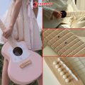 Daisy D100 Series กีต้าร์โปร่ง Daisy Acoustic Guitar - เต่าแดง. 