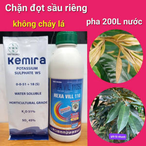 Combo Chặn Đợt Sầu Riêng không paclo không cháy lá