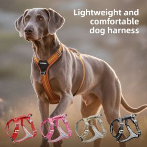 Car Safety Dog Harness with Dual Handle Quick Release Buckle & No-Pull Design Reflective Adjustable for All Sizes Dogs2026