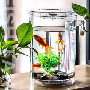 Small Fish Tank Fighting Tropical Small Self-Cleaning Desktop Mini Micro-View Ecological