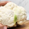 KIRIM INSTAN Kembang Kol Impor 1 Bonggol Utuh. 