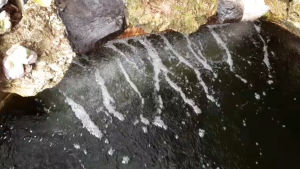 ออกซิเจนบาร์ สำหรับบ่อปลา 30-100 เซน สวยงามติดตั้งง่าย