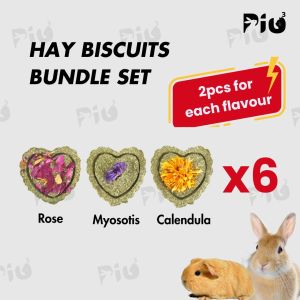 [24HR SHIP] 100% HOMEMADE HAY MOLAR BISCUITS 1PCS 自制磨牙草饼 Guinea Pig Rabbit Chinchilla Biskut Jerami 天竺鼠 兔子 龙猫 小宠零食 Timothy Carrot Rose