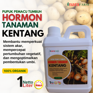 Pupuk penyubur tanaman kentangHormon pembesar umbi kentangPupuk pembesar kentangPupuk kentang