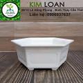 Combo 4 chậu nhựa lục giác truyền thống mini 21x8cm. 