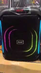 BTS -2107 8"inches Wireless Bluetooth speaker with rechargeable microphone