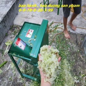 Máy thái cỏ  thái chuối  rau bèo 11kw khung sắt