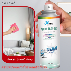 Xuan Yun สีทาภายในห้อง ไร้แป้ง แห้งเร็ว - สีทาบ้าน, สีทาห้องนอน, สีทาบ้านในห้อง, ทาสีผนัง, ซ่อมผนัง, สีทาบ้านภายใน, สีกระป๋อง, สีทาภายใน, สีทาบ้านสีขาว, สีทาฝ้าเพดาน, สเปรย์ซ่อมแซมผนังสีขาว