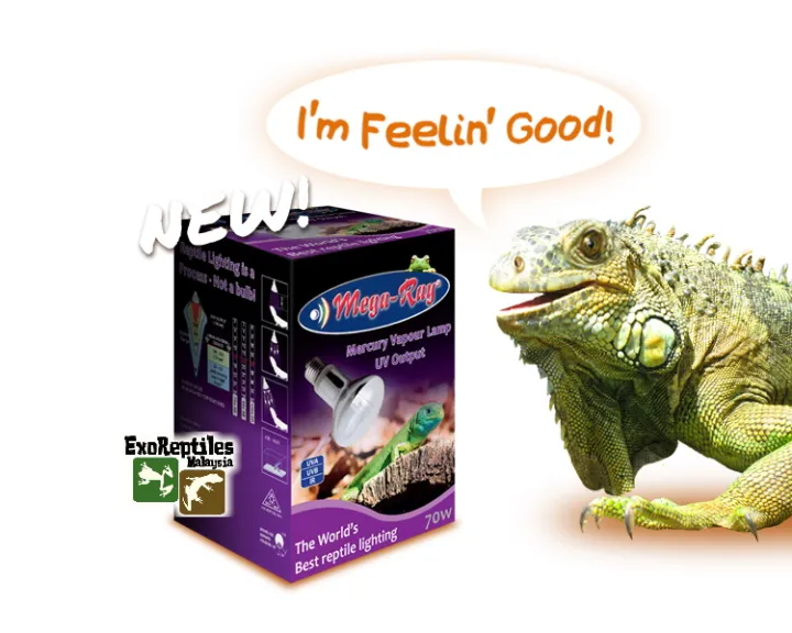 MEGA-RAY%20MERCURY%20VAPOUR%20LAMP%20UV%20OUTPUT%2070w%20100w%20(1unit)%20-%20Image%202