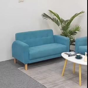 Fabric Sofa Technology Cloth Small Medium Apartment Double