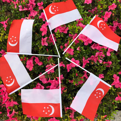 Small Singapore Flag,Hand Flag 1pack for 10pcs,SINGAPORE FLAG AVAILABLE IN STOCK,Singapore national 