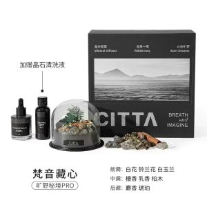 Bloom of scent CITTA Seaweed Aromatherapy PRO Version Fireless Himalayan salt Crystal Diffuser Girlfriends Girls Birthday Gifts Wedding Gift Boyfriend Atmosp Volcanic Stone Fireless Aromatherapy