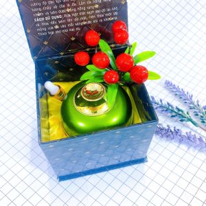 [Chính Hãng] Kem Ngừa Nám Tàn Nhang Đồi Mồi Đa Chức Năng Cao Cấp Takara 12 in 1 (35g)