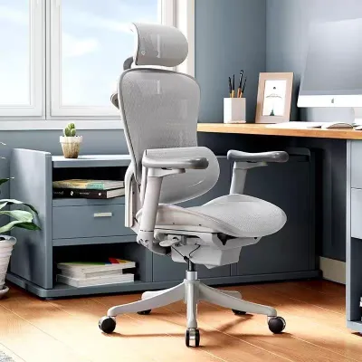 Sihoo DORO C300 Modern Executive Ergonomic Office Mesh Chair Lean-back Adjustable Gaming Chair