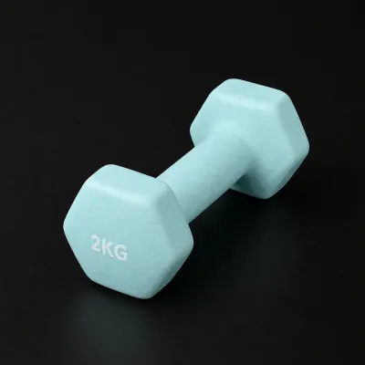 🇸🇬 Basics Neoprene Dumbbell Hand Weights / Vinyl Dumbbells - 0.5g-3kg / Dumbbell / Dumbbell for Weight Strength Trainin