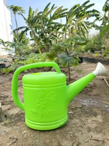 Bình tưới cây  vòi sen 5 lít chuyên dùng tưới cây