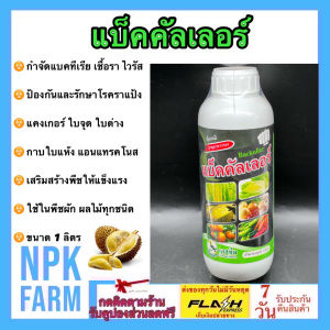 แบ็คคัลเลอร์ ขนาด 1 ลิตร แบ็คคิลเลอร์ แบคคิลเลอร์ ฆ่าเชื้อ หยุดเชื้อรา แบคทีเรีย ต้านไวรัส เพิ่มความแข็งแรง เพื่อให้พืชต้านทานโรค npkplant