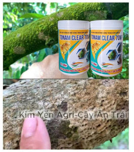 Phục hồi sầu riêng sau thu hoạch tẩy rong kích thích rễ nâng PH đất cung cấp dinh dưỡng dễ hấp thụ cho cây sầu riêng