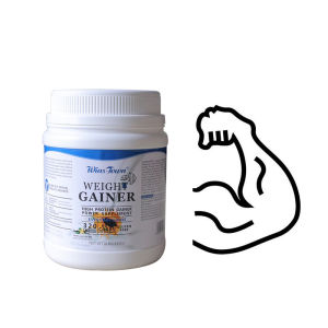 植物蛋白粉健身weight gainer supplement Protein powder增肌粉