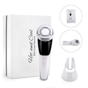 DECINIEE EMS Face Massager Radio Mesotherapy Electroporation LED Light Therapy Sonic Wrinkle Removal Skin Tightening Skin Care