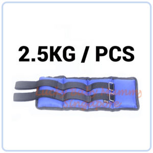 【DAILY ESSENTIAL】 Adjustable Ankle Wrist Weight Sandbag | 0.5 to 3kg | Single Piece