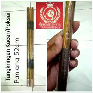 TANGKRINGAN AMPELAS KACER DAN POKSAI EBOD JAYA