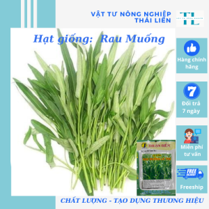 Hạt giống Rau muống lá tre cực dễ trồng nảy mầm 100% hàng Công Ty Thuận Điền