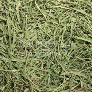 Cỏ Timothy Cho Thỏ Bọ Ú Chinchilla Cỏ khô 500g 1kg cỏ Timothy kiện có ít bụi cỏ hoặc đã lọc bụi