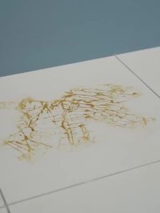 Floor brush bathroom brush long handled floor brush toilet bathroom household hard bristled floor cleaning ceramic tile cleaning