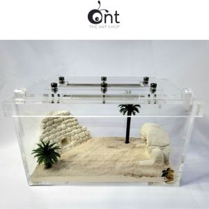 Egyptian Series Outworld - The Guardian - Ant Farm Ant Keeping Ant Cages Ant Formicarium Ant Outworld Empire Of Ants