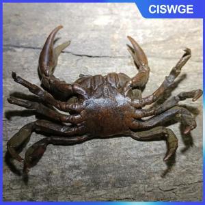 CISWGE 1pcs thu nhỏ trà vật nuôi trang trí cổ điển cua mô phỏng động vật mô hình bức tượng bức tượng cổ kim loại Thủ công mỹ nghệ trang trí bàn
