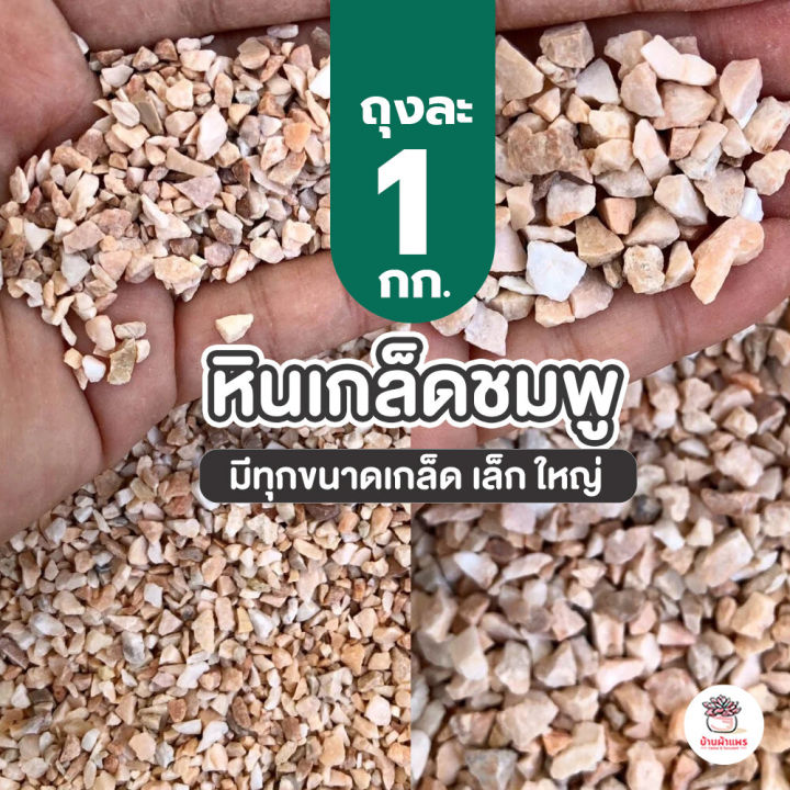 หินเกล็ดชมพู 1 กก. สำหรับแคคตัสและไม้อวบน้ำ