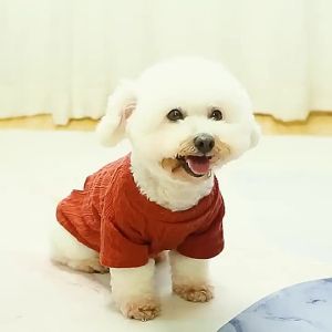 Ready stock 🇲 🇾 Knitted Thin Dog Sweater Autumn Winter Puppy Clothes Soft CatClothing