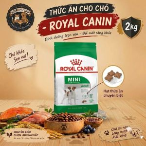 Thức ăn hạt cho chó Royal Canin Mini Adult 2kg dành cho chó trưởng thành giống nhỏ