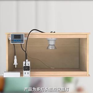 Đèn ấp chim cút điều chỉnh nhiệt độ tự động đèn sưởi nhiệt độ không đổi đèn ấp gà đèn sưởi ấm cho gà con #