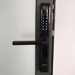 Khóa điện tử Xingfa WIDMANN F01 ( Vân tay - thẻ từ - mã số - app)
