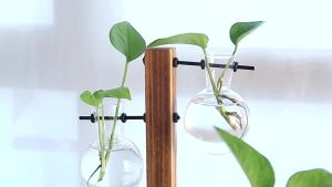 WH Vintage Flower Pot Transparent Vases Hydroponic Plant Vases Wooden Frame Glass Tabletop Plants Home Bonsai Decor