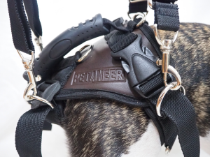 พิเศษ ชุดช่วยพยุงกายภาพไซต์ L