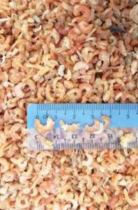 Udang Kering Dried Shrimp Dried Prawn Size S 200gram