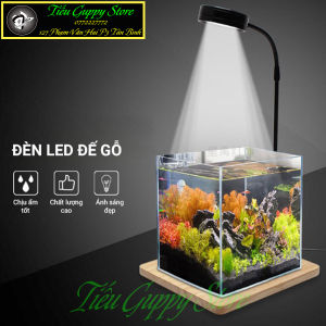 Đèn Led Kèm Đế Gỗ Chuyên Dụng cho Hồ Cá Bể Thủy Sinh Tiểu Cảnh Nhỏ Hồ Cá Mini Hồ Cá Tròn ...
