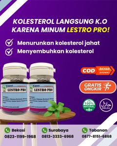 Kapsul LESTRO PRO | Obat Herbal Kolesterol Ampuh | Obat Kolestrol Ampuh