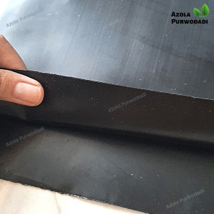Plastik HDPE Geomembran 200 Micron 4 x 2 meter untuk kolam / tambak
