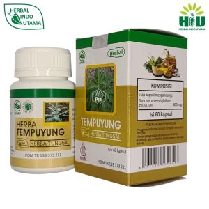 HERBAL INDO UTAMA Tempuyung Herbal Batu Ginjal Empedu Saluran Kencing