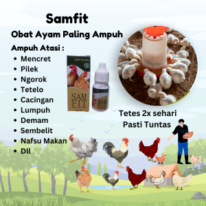 Obat Ayam Sakit Ngorok Pilek Mencret Lemas Tidak Mau Makan Cacingan Diare Flu Samfit Sam Fit Dalam