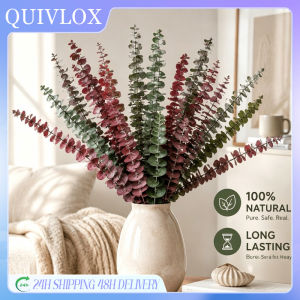 Quivlox Dried Eucalyptus Stems Bundle Baby Blue Preserved Leaves Shower Bouquet Home Decor Wedding Gift