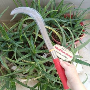 liềm cắt dừa vệ sinh cây dừa - liềm ngoặc cỏ ngoặc cành lưỡi thép sắc bền (ngoặc cán đỏ)